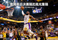 篮球集锦：詹姆斯隔扣 总决赛高光